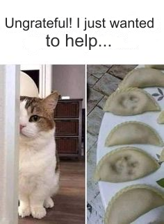 Meme by catsoncatnip