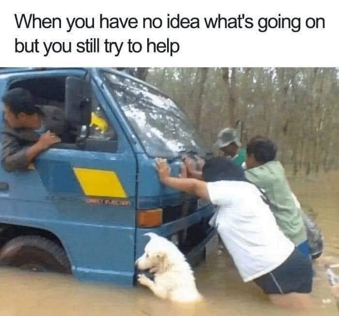 When you have no idea what's going on but still try to help