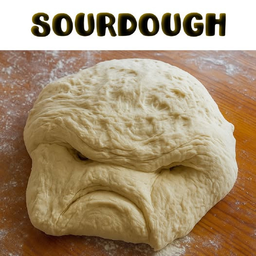 SOURDOUGH