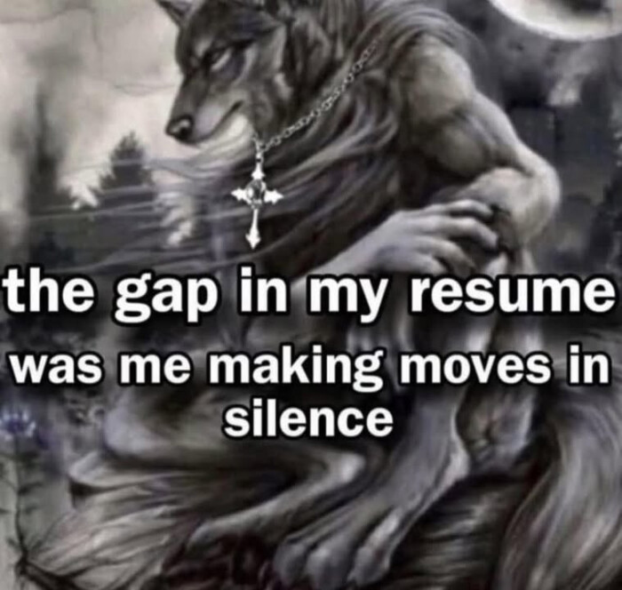 the gap in my resume was me making moves silence