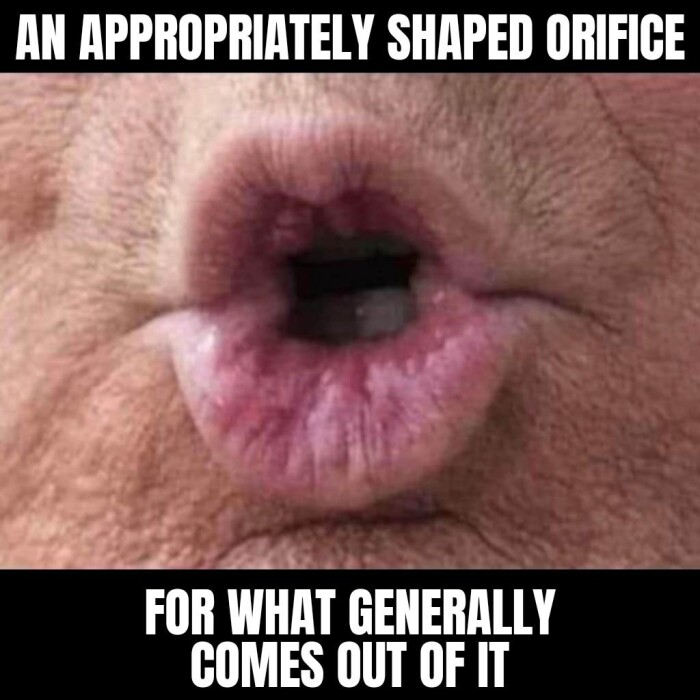 AN APPROPRIATELY SHAPED ORIFICE FOR WHAT GENERALLY COMES OUT OF IT