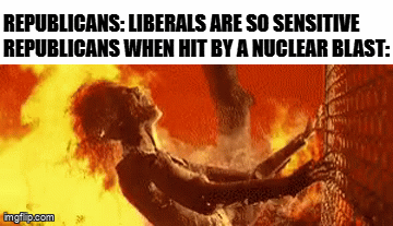REPUBLICANS: LIBERALS ARE SO SENSITIVE REPUBLICANS WHEN HIT BY A NUCLEAR BLAST: inglo.com