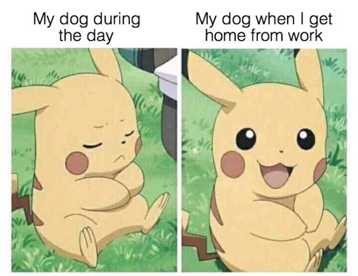 Meme by australianmemes