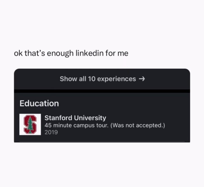 ok that's enough linkedin for me Show all 10 experiences -' Education Stanford University 45 minute campus tour. (Was not accepted.) 2019