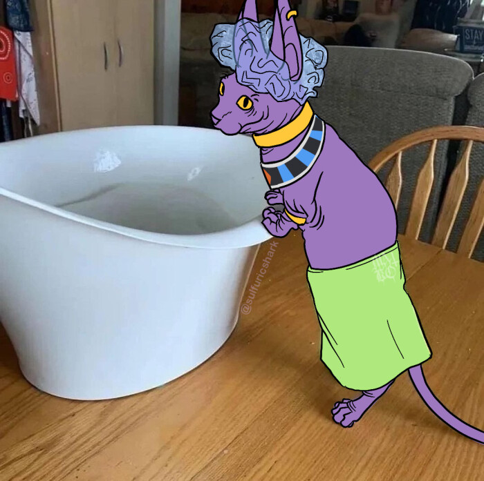 Meme by disneymemes