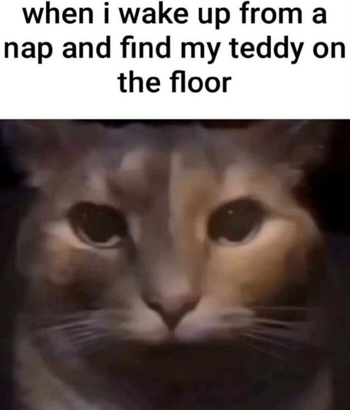 Meme by disneymemes