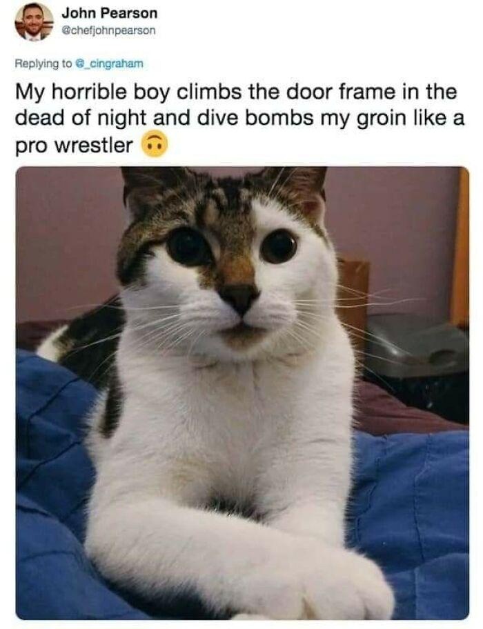 Meme by kronk