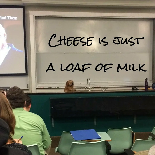 ind Them CHEESE IS JUST A LOAF OF MIlK