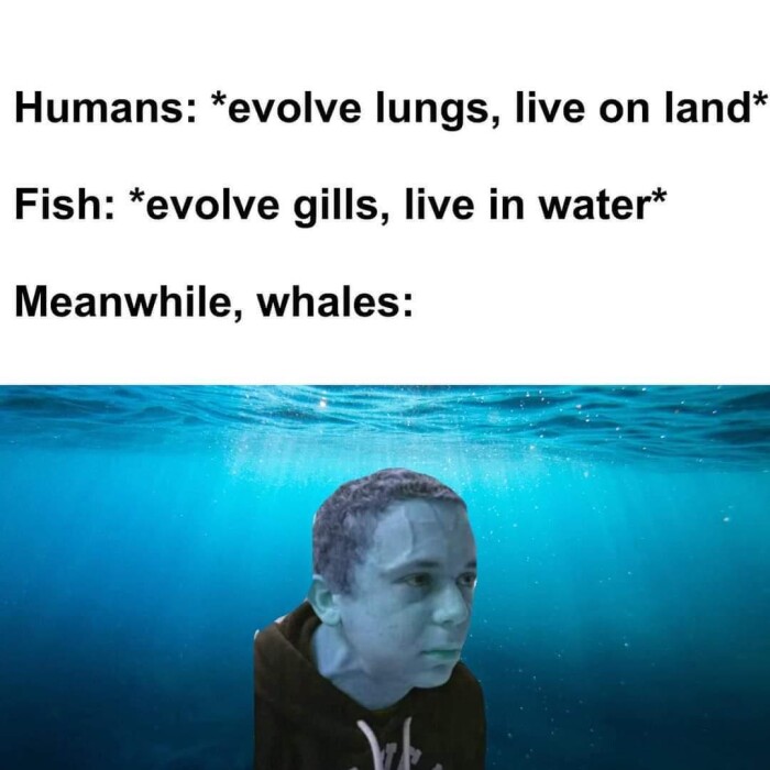 Meme by disneymemes