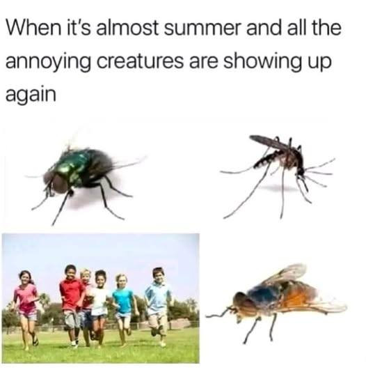 When it's almost summer and all the annoying creatures are showing up again
