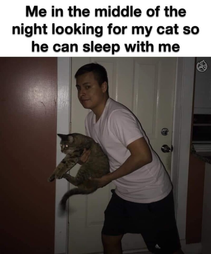 Meme by disneymemes