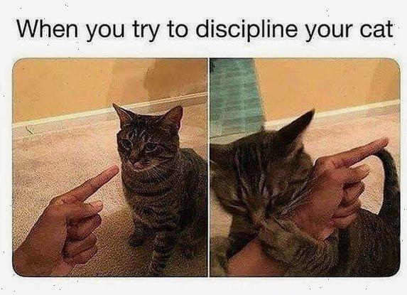 Meme by disneymemes
