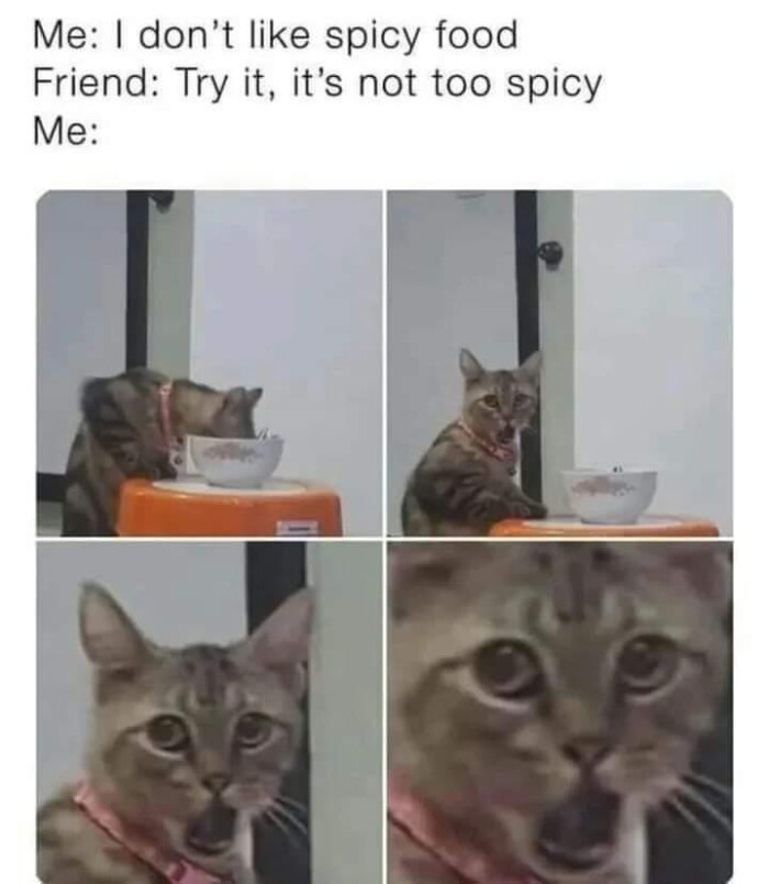 Meme by postyourcats