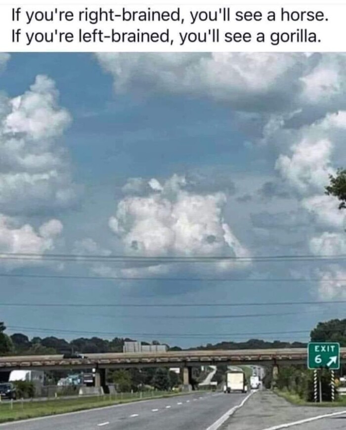see a horse. left-brained, gorilla. EXIT 6