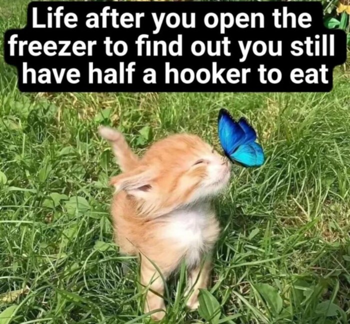 Meme by classic80smusicmemes