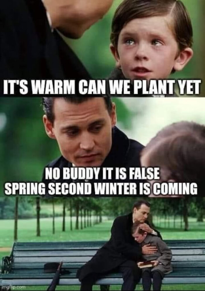 IT'S WARM CAN WE PLANT VET NO BUDDY IT IS FALSE SPRING SECOND WINTER COMING