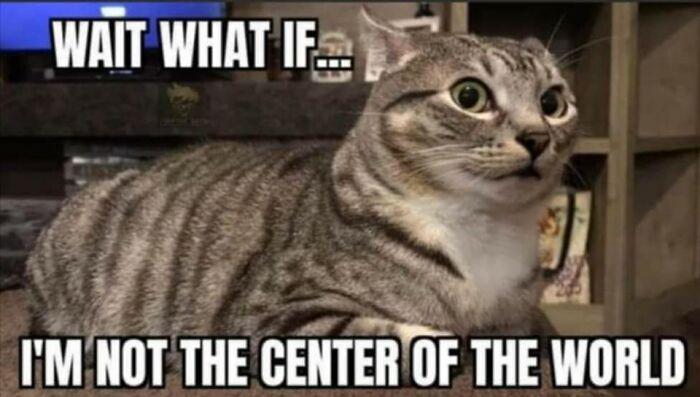 Meme by catsoncatnip