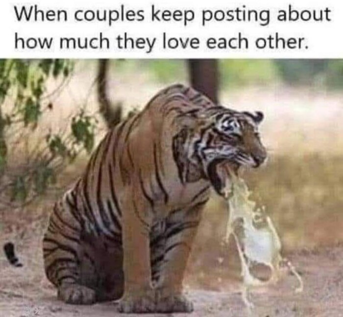 Meme by disneymemes