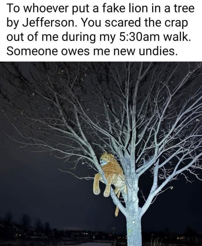 To whoever put a fake lion in tree by Jefferson. You scared the crap out of me during my 5:30am walk. Someone owes new undies.