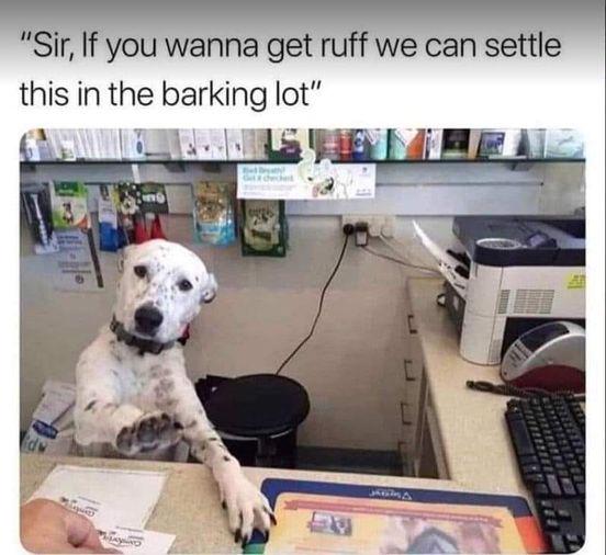 Meme by wholesomedoggos