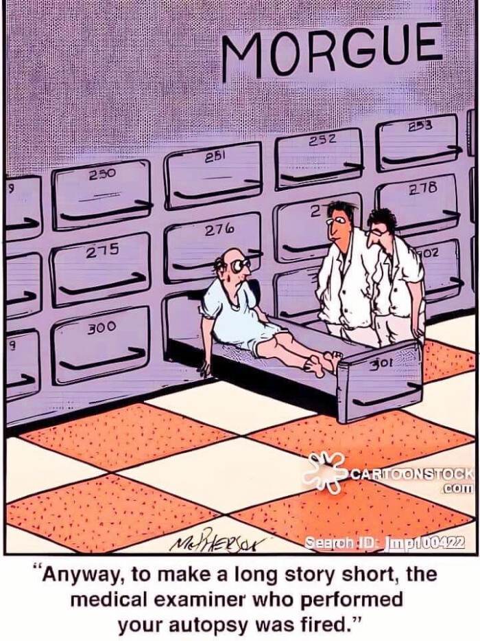 MORGUE E53 252 261 250 18 276 215 300 jot ARTOONSIOC cOm MeRlesses Seeron:D. m0100472 "Anyway, to make a long story short, the medical examiner who performed your autopsy was fired."