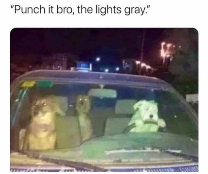 the lights gray.