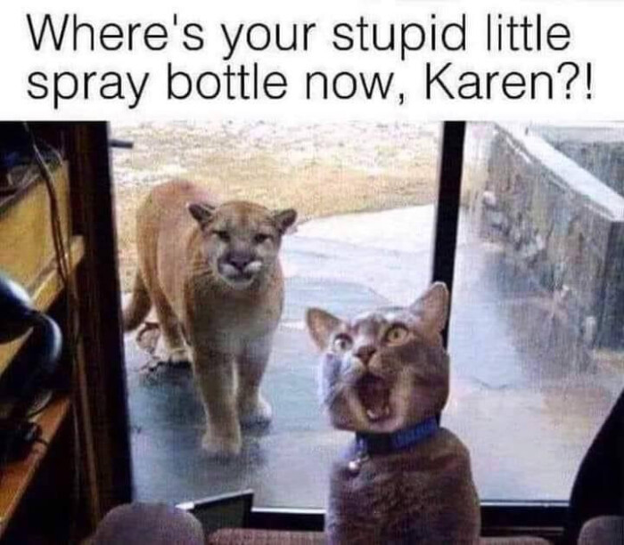 Where's your stupid little spray bottle now, Karen?!