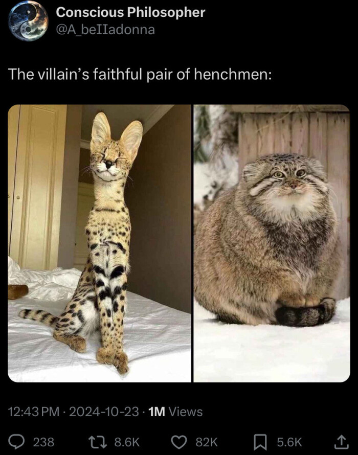 Meme by creepystories
