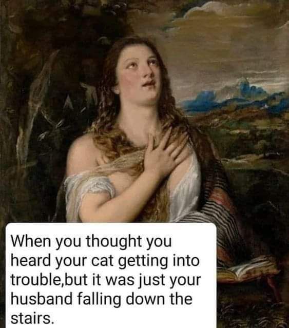Meme by catsoncatnip