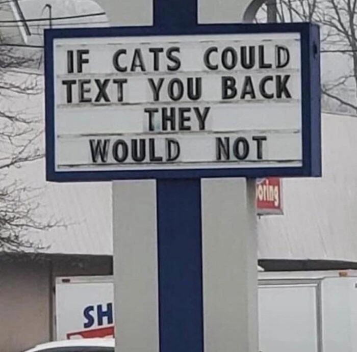IF CATS COULD TEXT YOU BACK THEY WOULD NOT SH