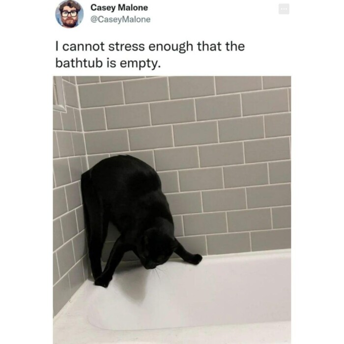 Meme by amazingmemes