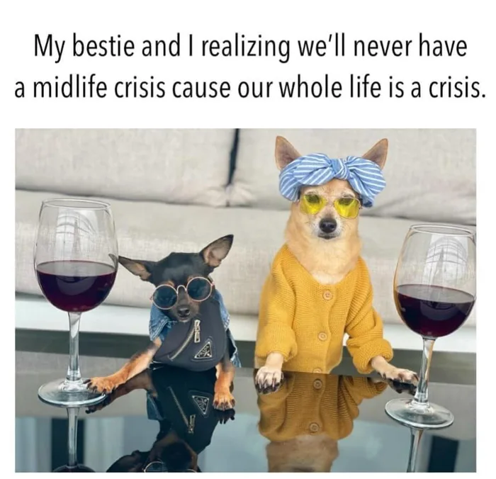 Meme by pupperdoggo
