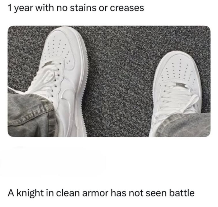 Meme by dailyposts
