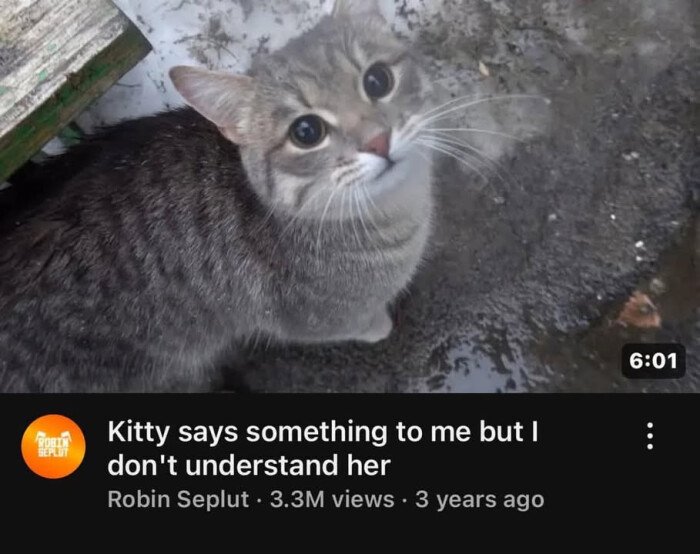 Kitty says something to me but I don't understand her Robin Seplut