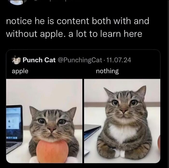 notice he is content both with and without apple. a lot to learn here