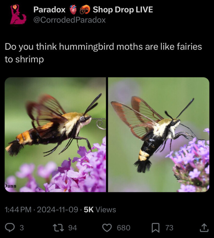 Meme by herinterests