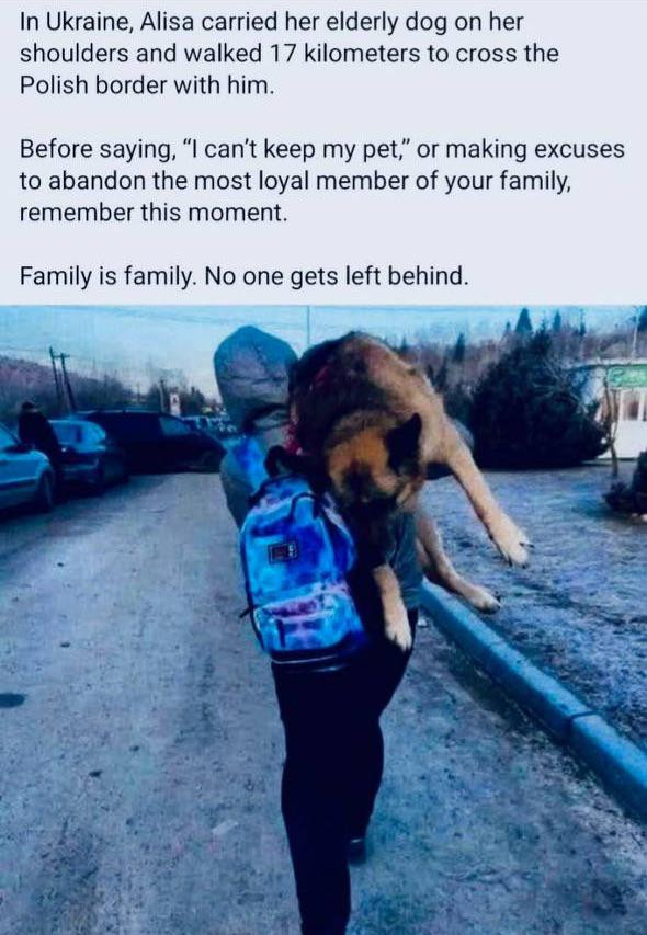 In Ukraine, Alisa carried her elderly dog on shoulders and walked 17 kilometers to cross the Polish border with him. Before saying, "I can't keep my pet," or making excuses abandon most loyal member of your family, remember this moment. Family is family. No one gets left behind.