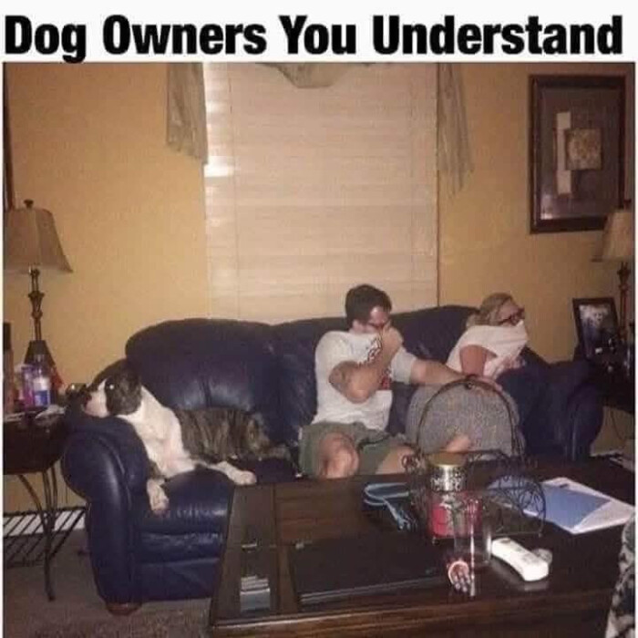Dog Owners You Understand