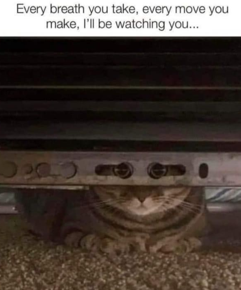 Meme by gargoyle