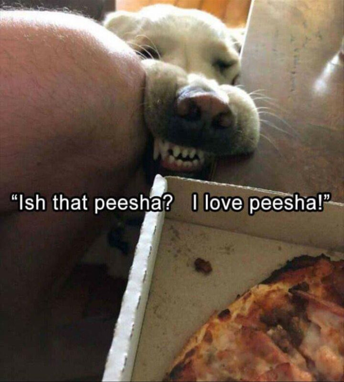 "Ish that peesha? I love peesha!"