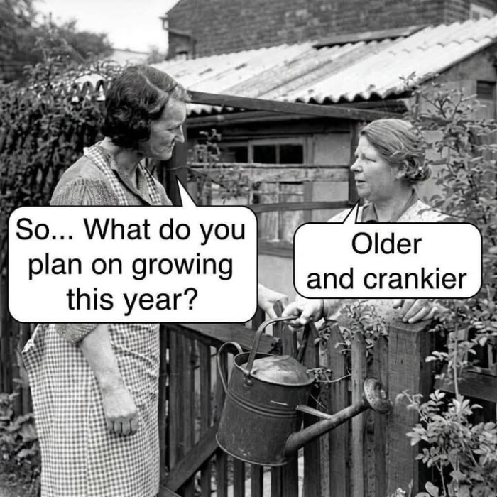 So... What do you plan on growing this year? Older and crankier