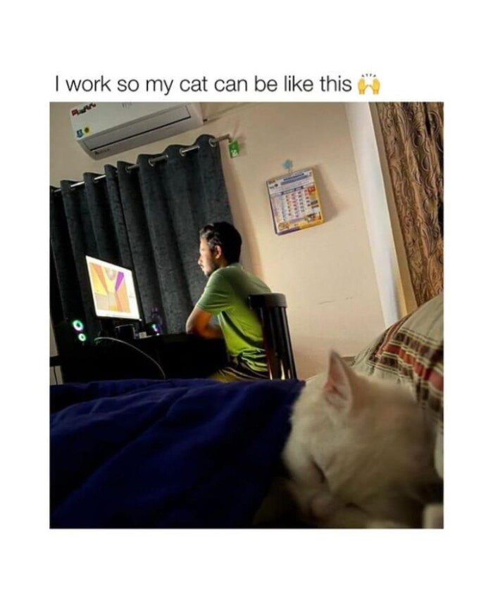 Meme by kronk