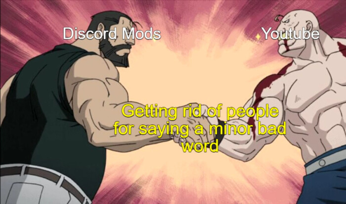 Discord Mods Getting rickof people for saying a minor bad word