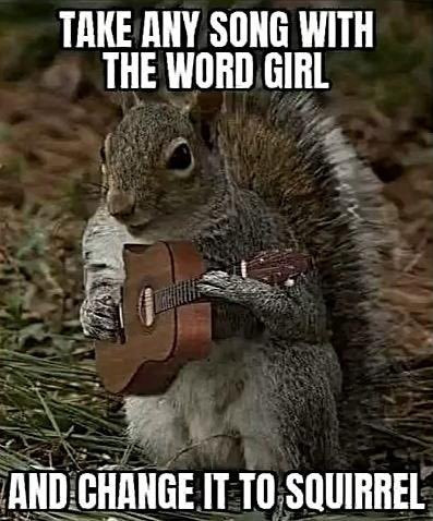 TAKE ANY SONG WITH THE WORD GIRL AND CHANGE IT TO SQUIRREL