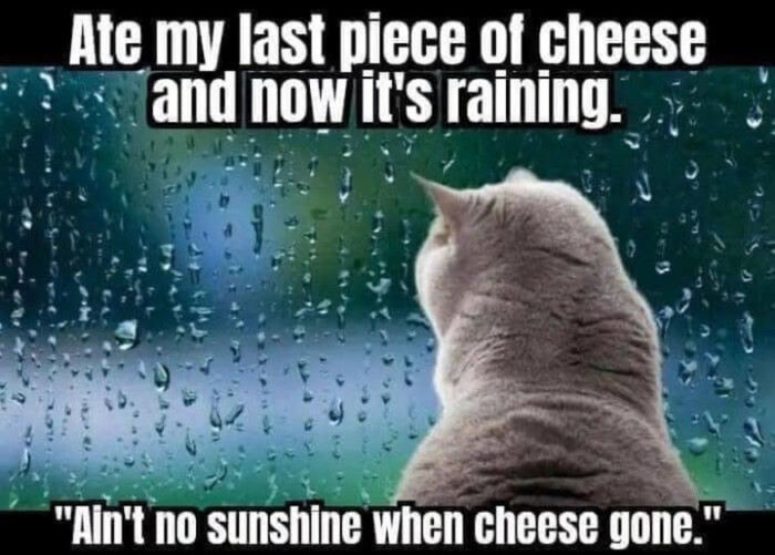 Ate my last piece of cheese and now it's raining. "Ah'" no sunshine when gone."