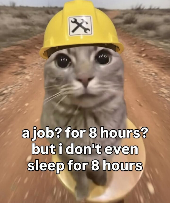 a job? for 8 hours? but i don't even sleep hours