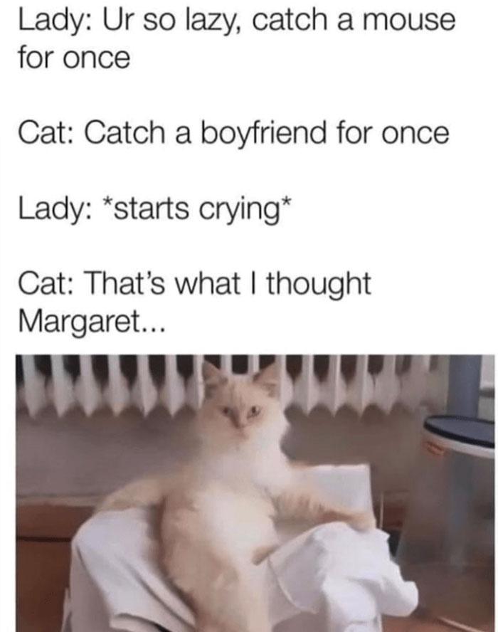 Meme by postyourcats