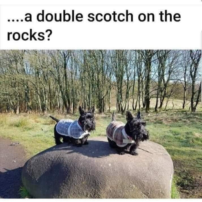 ...a double scotch on the rocks?