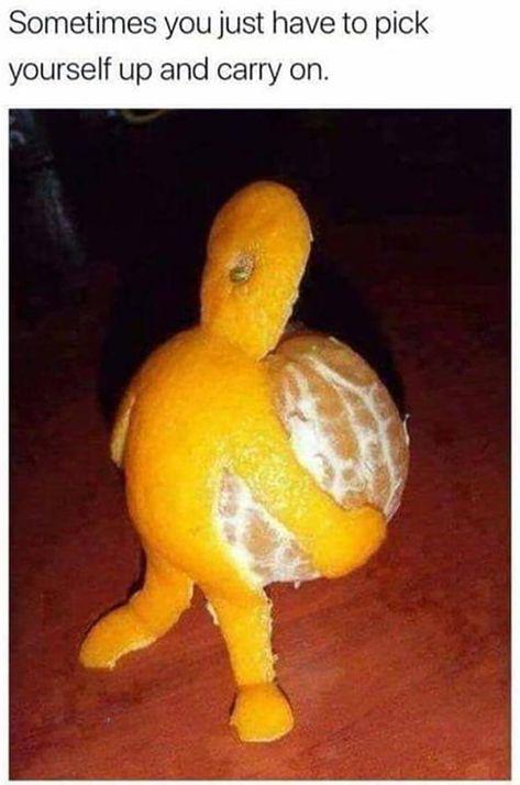 Sometimes you just have to pick yourself up and carry on.