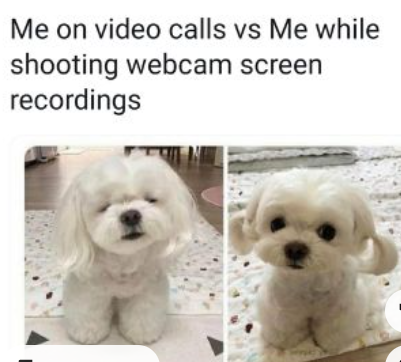 Meme by pupperdoggo